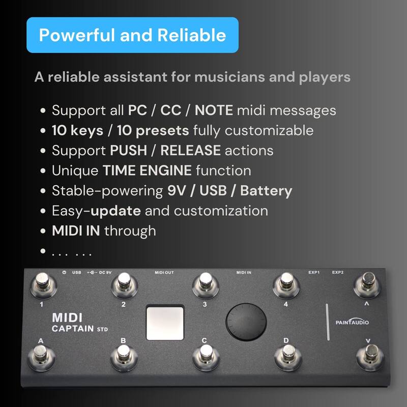 Controlador de Pés MIDI PAINTAUDIO Captain Multi-Efeitos - USB